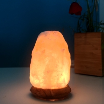 Mini lampe de sel 